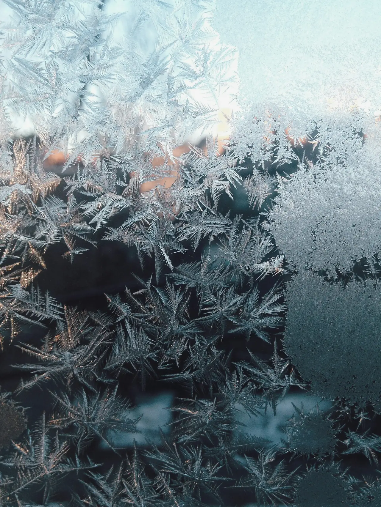 Frost patterns covering a window pane in winter light
