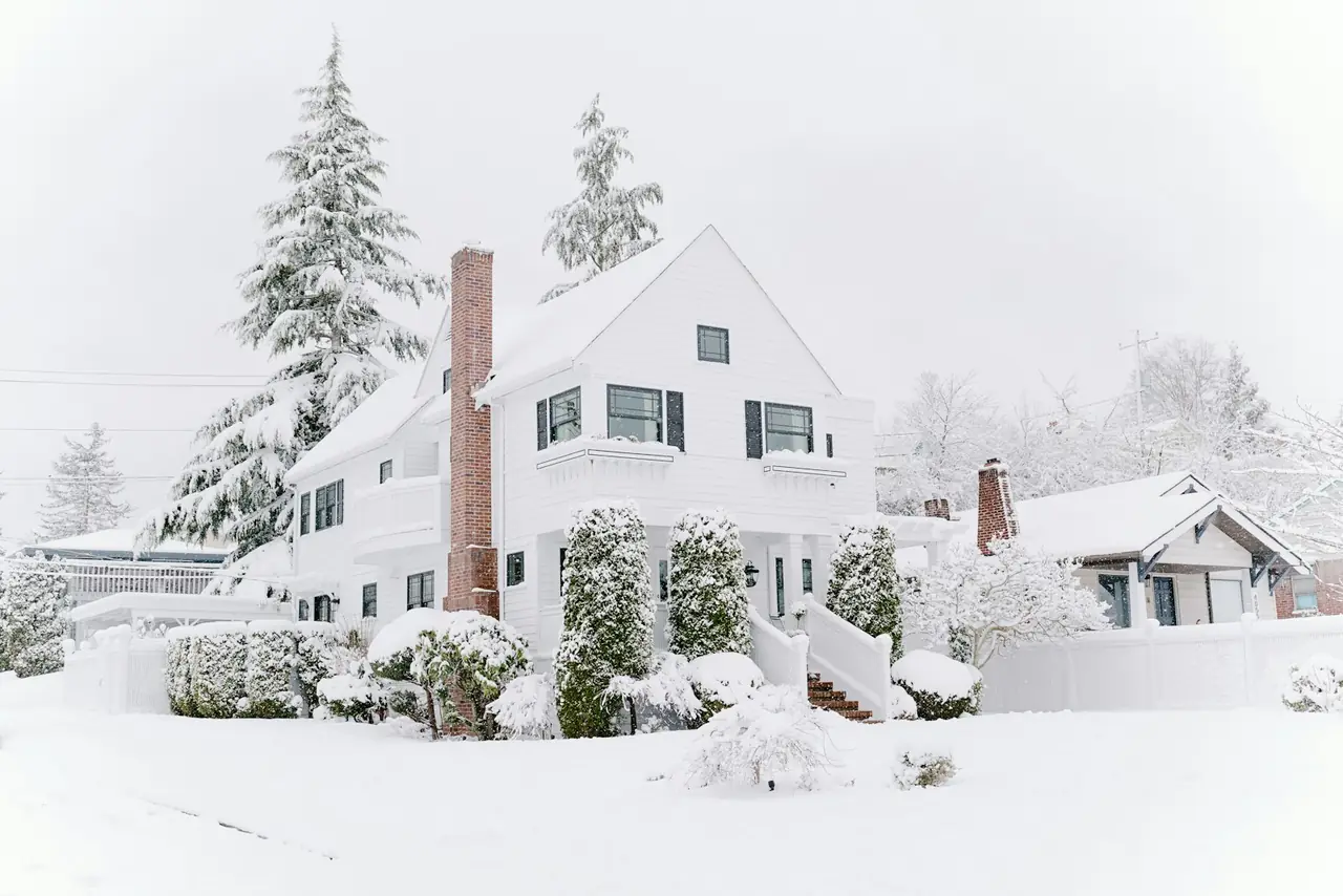 Homes and evergreen trees covered in fresh snow